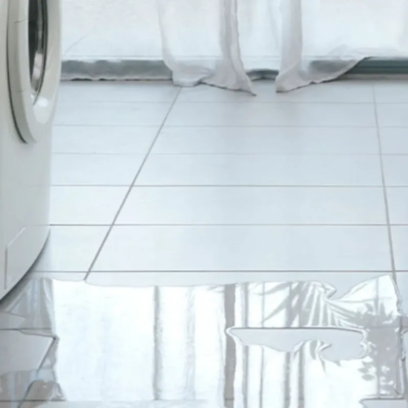 Appliance Leak Cleanup in Wexford County, MI