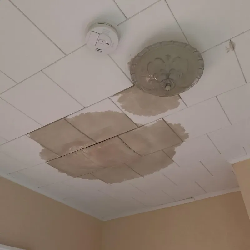 Ceiling Water Damage Repair in Wexford County, MI