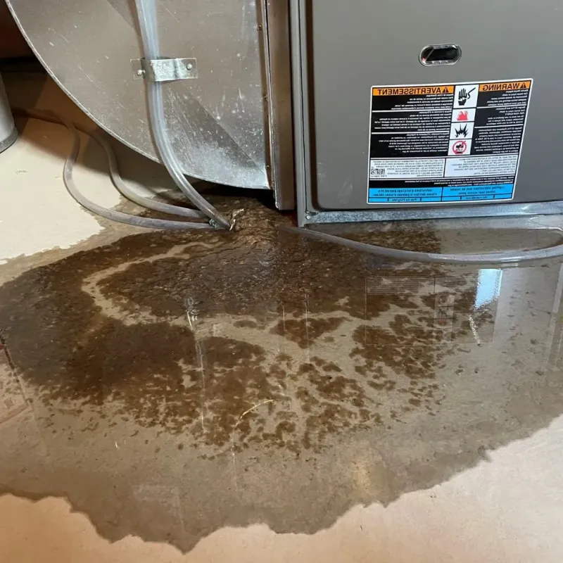 Pipe Burst and Leak Restoration in Wexford County, MI